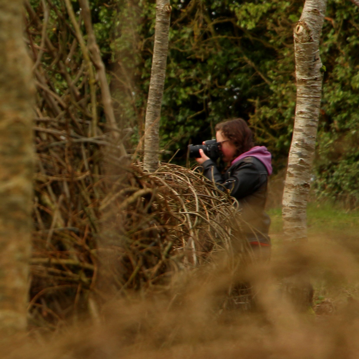 Forest Photographer Amy Jackson